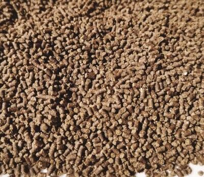 Feeder Micropellets Dudi Bait