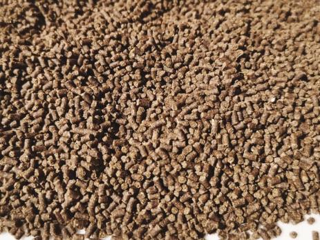 Feeder Micropellets Dudi Bait
